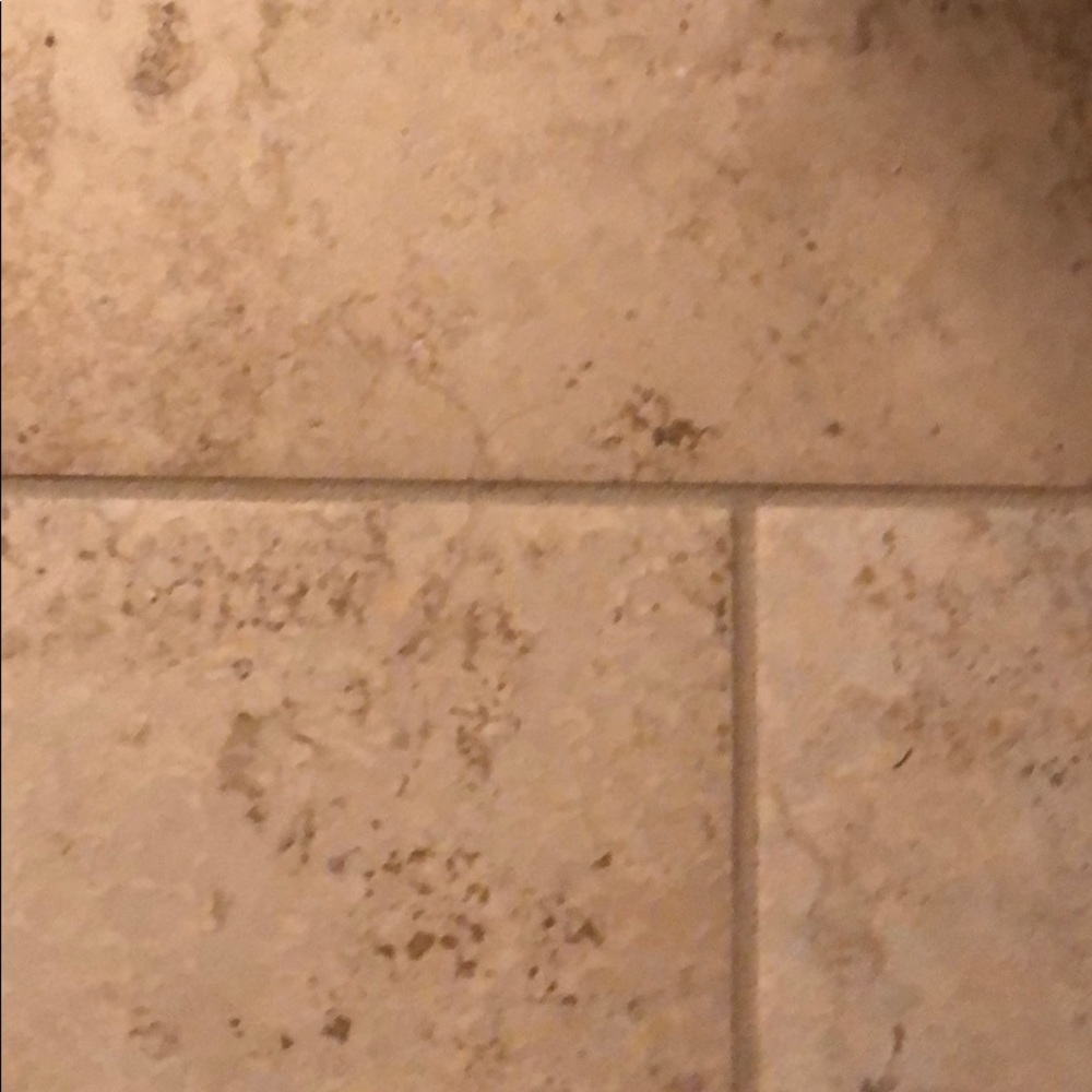 Meet your Posher, Terri